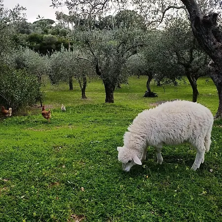 Emilia Vacanze